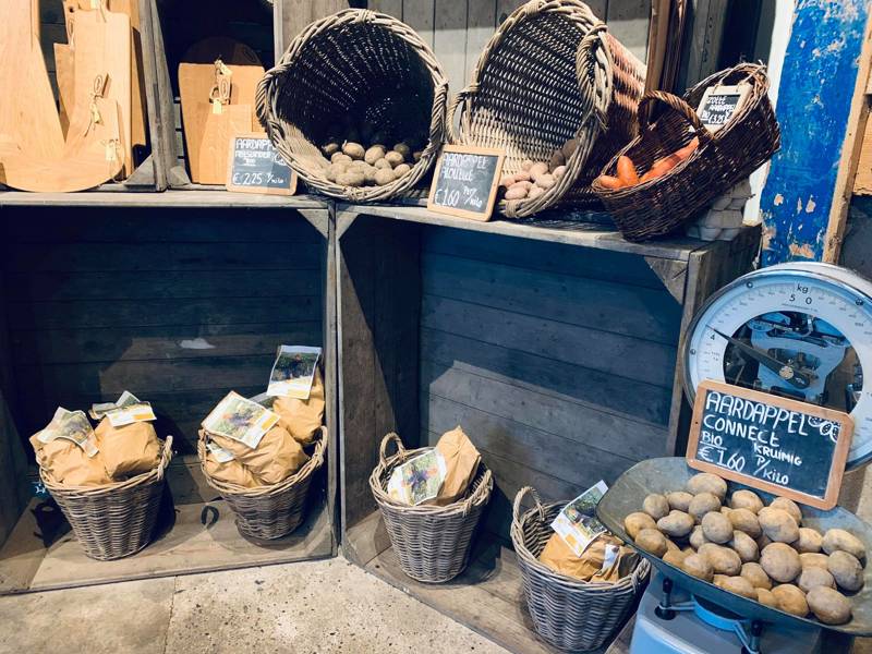 Strandurlaub Callantsoog LekkerNaarZee